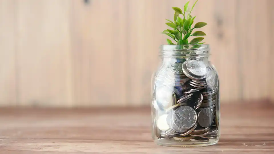 Pote de vidro cheio de moedas com uma pequena planta crescendo